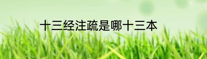 十三经注疏是哪十三本