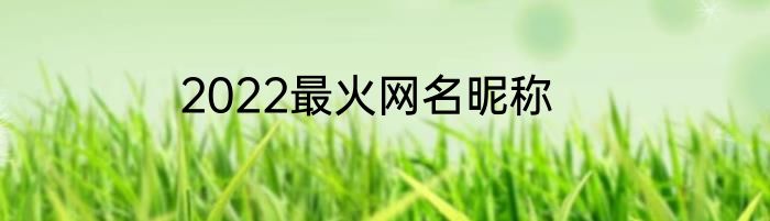 2022最火网名昵称