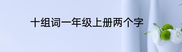 十组词一年级上册两个字
