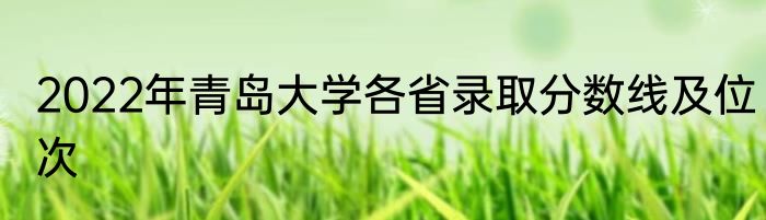 2022年青岛大学各省录取分数线及位次