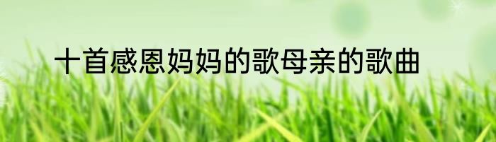 十首感恩妈妈的歌母亲的歌曲