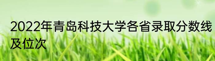 2022年青岛科技大学各省录取分数线及位次