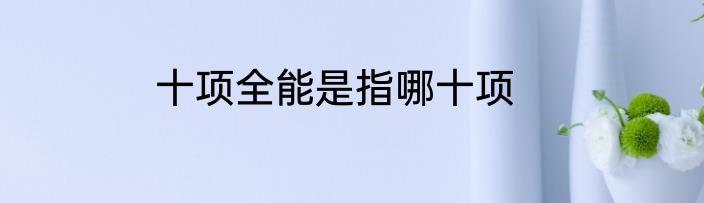 十项全能是指哪十项