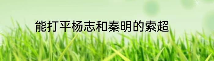 能打平杨志和秦明的索超