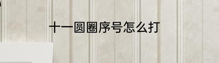 十一圆圈序号怎么打