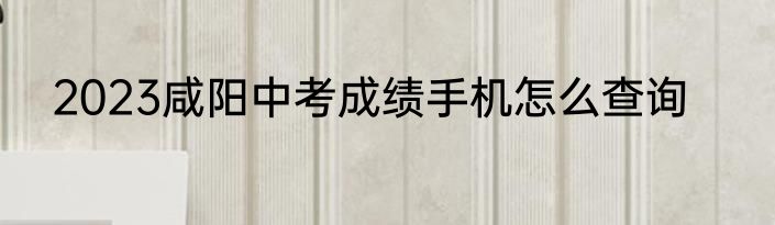 2023咸阳中考成绩手机怎么查询