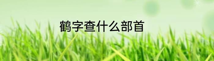 鹤字查什么部首
