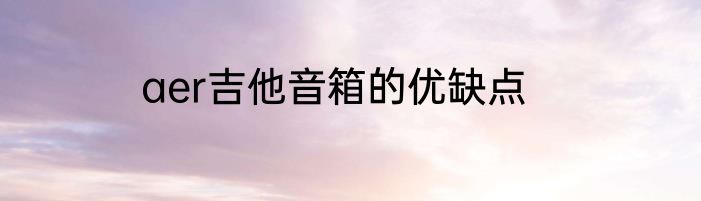 aer吉他音箱的优缺点