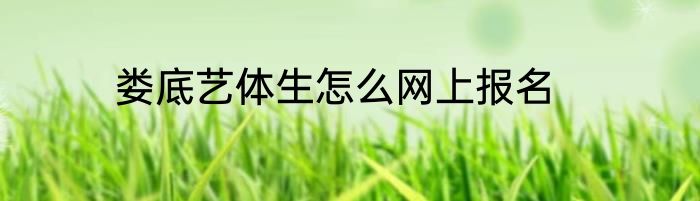 娄底艺体生怎么网上报名