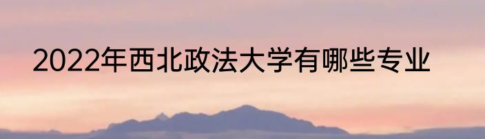 2022年西北政法大学有哪些专业