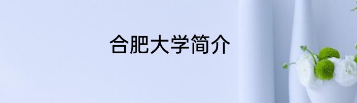 合肥大学简介