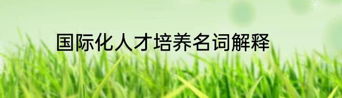 国际化人才培养名词解释
