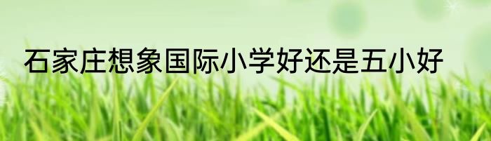 石家庄想象国际小学好还是五小好