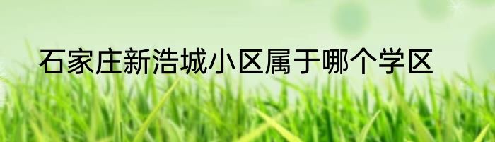 石家庄新浩城小区属于哪个学区
