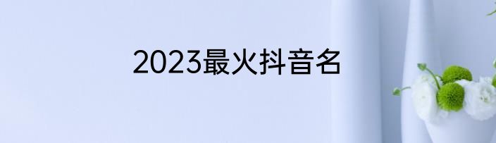 2023最火抖音名