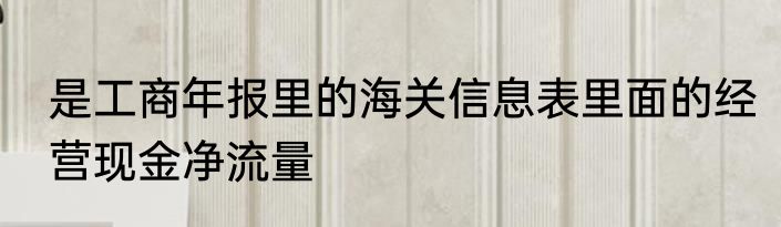 是工商年报里的海关信息表里面的经营现金净流量