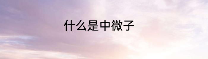 什么是中微子