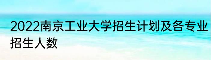2022南京工业大学招生计划及各专业招生人数