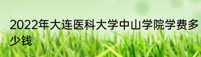 2022年大连医科大学中山学院学费多少钱
