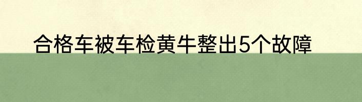 合格车被车检黄牛整出5个故障