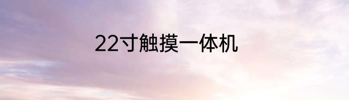 22寸触摸一体机