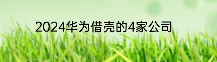 2024华为借壳的4家公司