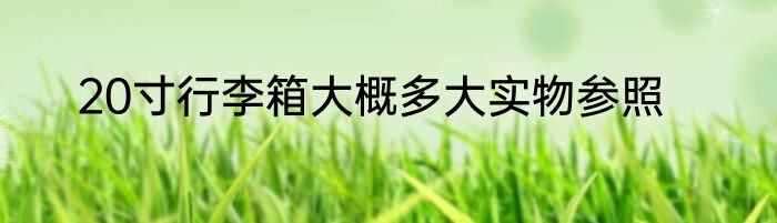 20寸行李箱大概多大实物参照