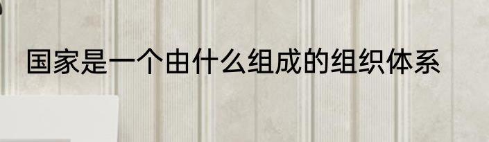 国家是一个由什么组成的组织体系