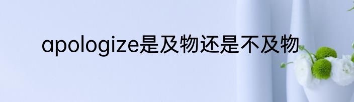 apologize是及物还是不及物