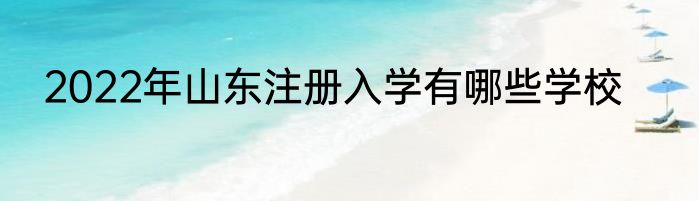 2022年山东注册入学有哪些学校