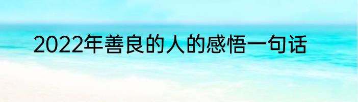 2022年善良的人的感悟一句话