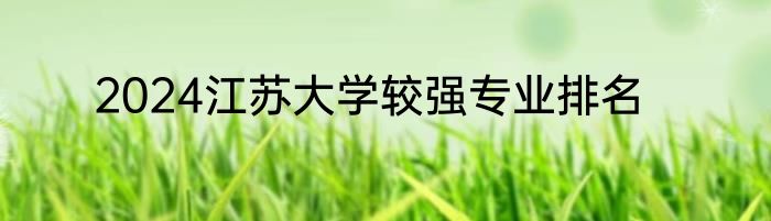 2024江苏大学较强专业排名