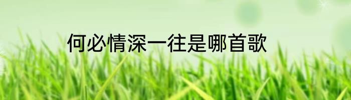 何必情深一往是哪首歌