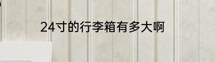 24寸的行李箱有多大啊