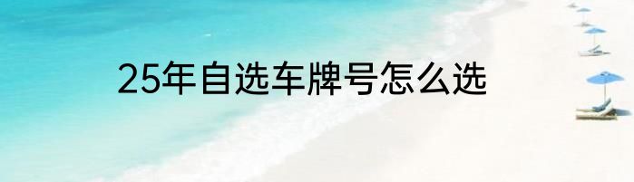 25年自选车牌号怎么选