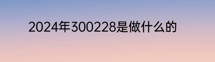 2024年300228是做什么的