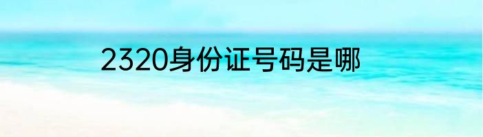 2320身份证号码是哪