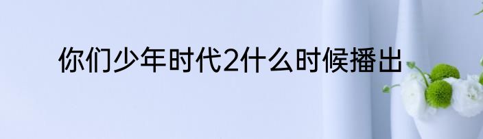 你们少年时代2什么时候播出