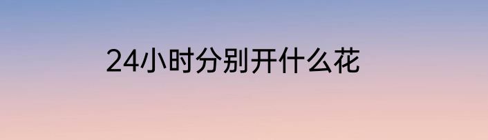 24小时分别开什么花
