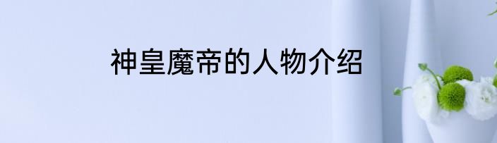 神皇魔帝的人物介绍