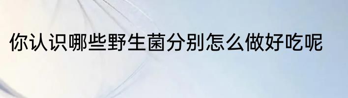 你认识哪些野生菌分别怎么做好吃呢