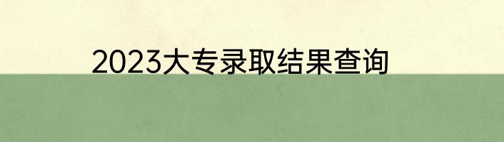 2023大专录取结果查询