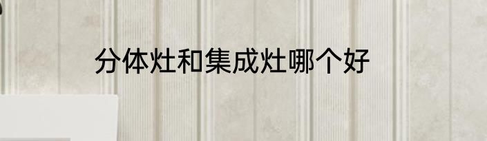 分体灶和集成灶哪个好