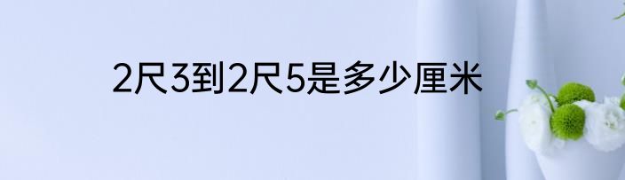 2尺3到2尺5是多少厘米