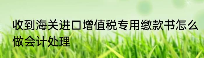 收到海关进口增值税专用缴款书怎么做会计处理