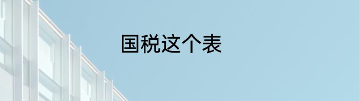 国税这个表
