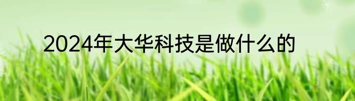 2024年大华科技是做什么的
