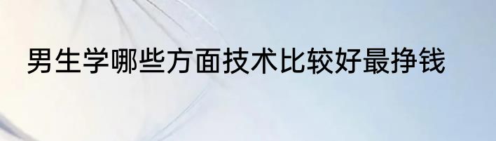 男生学哪些方面技术比较好最挣钱