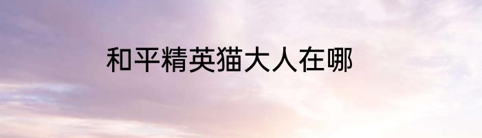 和平精英猫大人在哪