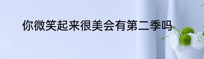 你微笑起来很美会有第二季吗